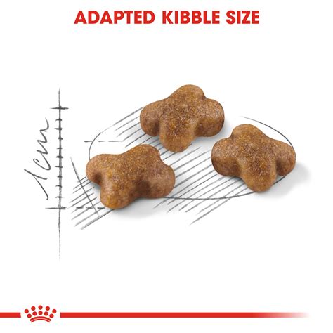 ROYAL CANIN¨ Kitten 4kg – Maltbys' Stores