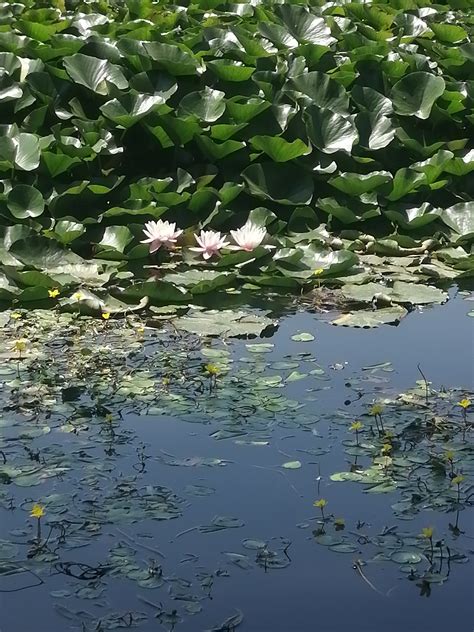 Монастырское озеро | Пикабу