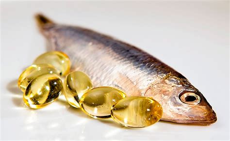 Интересные факты об Омега 3