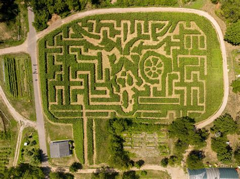 Queens County Farm Museums Amazing Maize Maze Features A Design By