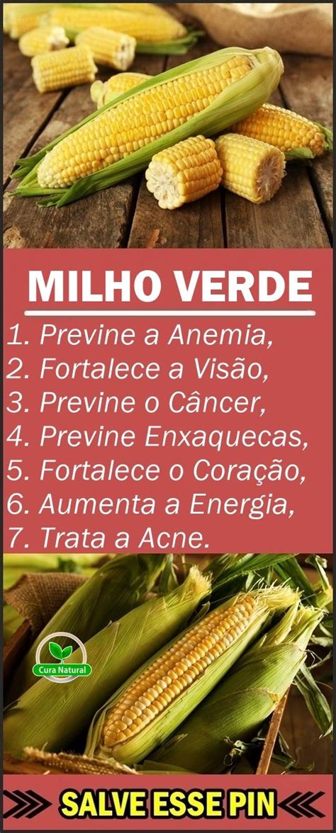 Milho Benefícios E Malefícios - Benefícios Do Milho | Milho: benefícios, malefícios, propriedades e ...