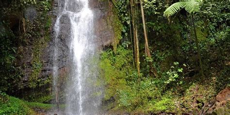 Cascadas De Pelongo Pance Orgullo De Cali