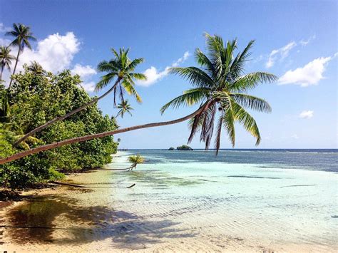 panduan tips pergi liburan  wangi wangi