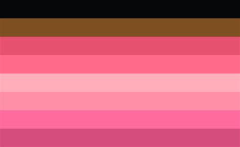 More Lovecore Flags Philly Gay And Gay Lesbian Trans Demi And My Version Of The Demi