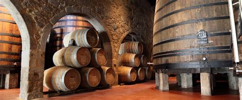 Best port 2024: award-winning port wines to try right now