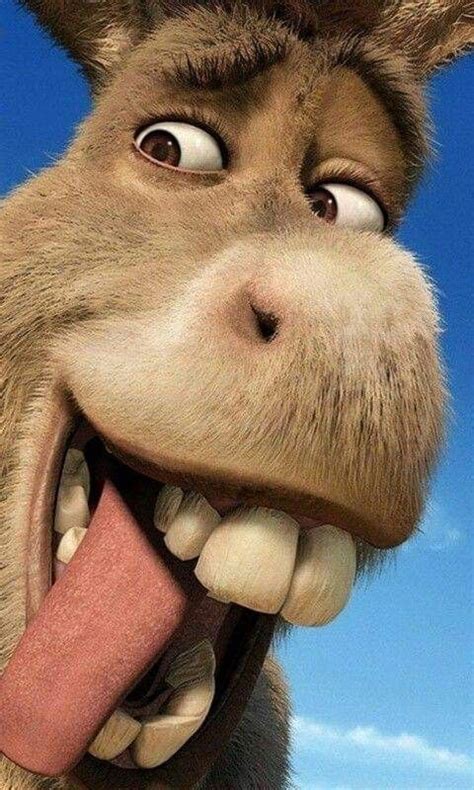 Burro Shrek Burro De Shrek Fondos De Peliculas Personajes De Shrek