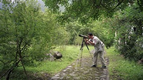 Merlin Bird Photo ID可看图识鸟 数字叙事