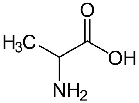 Alanine – NutraWiki