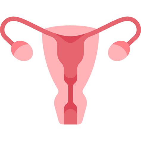 Uterus free icons designed by Freepik | Free icons, Fallopian tubes ...