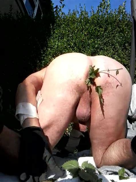 Raw Nettles Rammed Up My Ass Hole Bdsm Gay Man Porn Xhamster