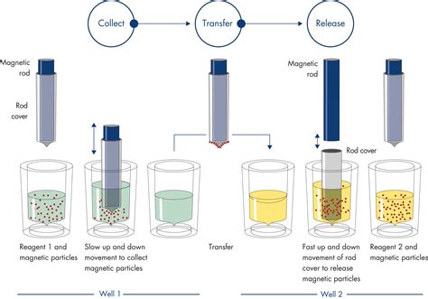 QIAsymphony DSP DNA Kits