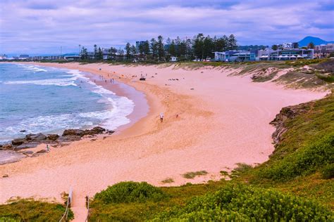 guide  wollongong nsw wiki australia