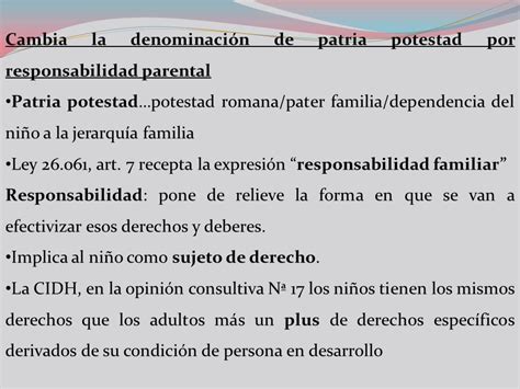 La Responsabilidad Parental A Partir De La Sancion Del Codigo Civil Y