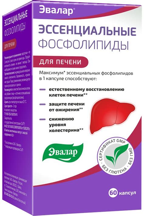 Препараты для печени профилактика: Лекарства для лечения печени и ...