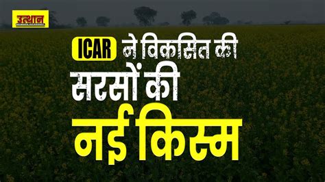 Agriculture Current affair पस न वकसत क सरस क नई कसम