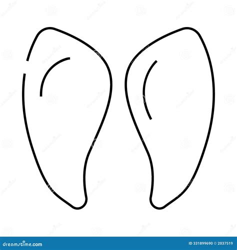 does cow hoof grow back 3
