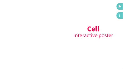 interactive cell poster