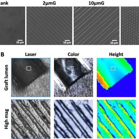 polyvinyl alcohol pva hydrogel patterning  characterization