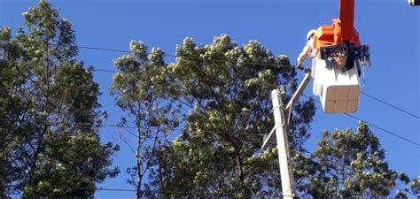 Árvores caem sobre rede elétrica em Santa Maria do Herval Jornal O Diário