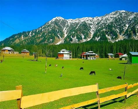 Memorable Kashmir Tour – life Time Experience – Pakistan Travel Guide