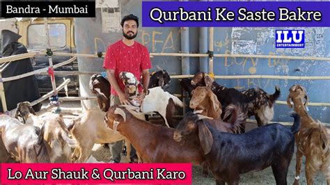 Abb Qurbani Ke Saste Bakre Accha Ratei Lelo Aur Shouk Qurbani Karo