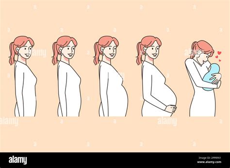 Stages Of Woman Pregnancy Stock Vector Image And Art Alamy