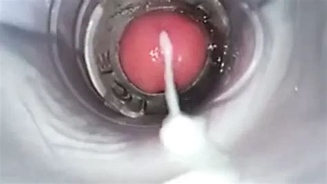 Sex In Hd Ich Dachte An Meinen Schwiegervater Toller Analsex Xhamster