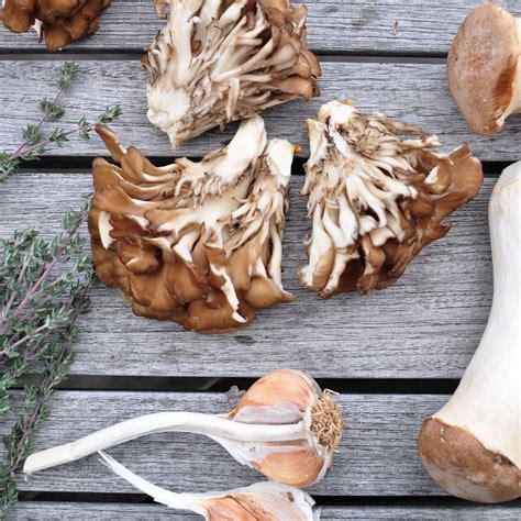 Hen Of The Woods Recipe | Besto Blog