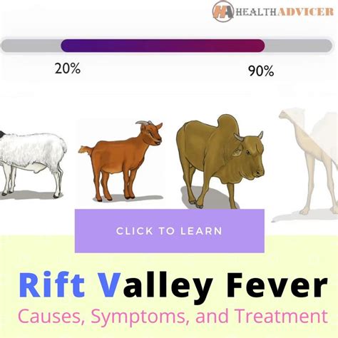 Rift Valley Fever - Causes, Symptoms, Diagnosis And Treatment