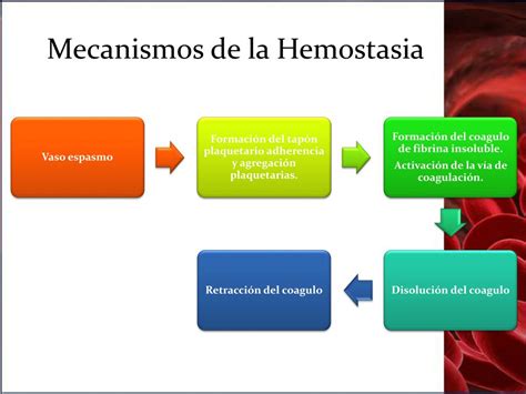 Ppt Trastornos De La Hemostasia Powerpoint Presentation Free