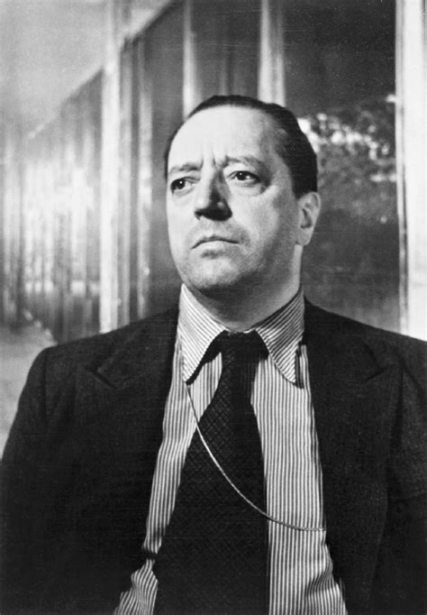 portrait  ludwig mies van der rohe photo werner rohde  bauhaus