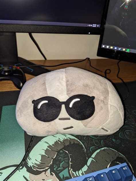 Finally got my Cool Rock. It's the coolest of all the cool rocks. : r