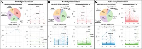 Frontiers Sex Biased Gene Expression During Neural Differentiation Of