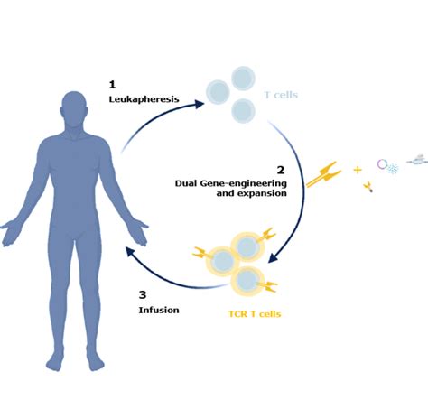 Immunotherapy Innovation: CAR-Ts And T Cell Engagers, 46% OFF