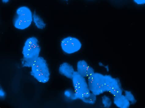 titan fish probes sonde fish