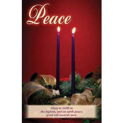 Bulletin C Advent Candles Peace Pack Of 100