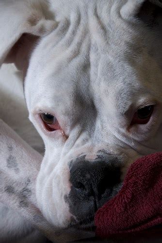 ways   boring stuff   linda ursin