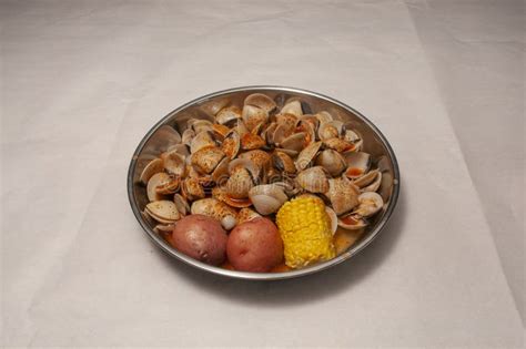 Delicious Clams Seafood Stock Image Image Of Shellfish 259687991
