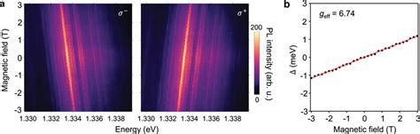 Free And Trapped Interlayer Exciton G Factor For The Data Are