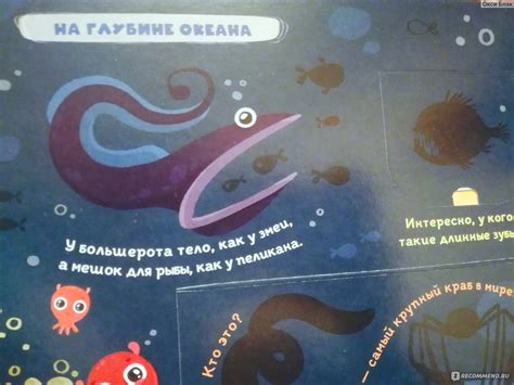 Что там под водой? Издательство Malamalama - «А Вы знали что у акулы ...