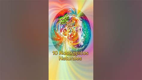 10 Nootrópicos Naturales Que Estimularán Tú Cerebro 🧠 Youtube