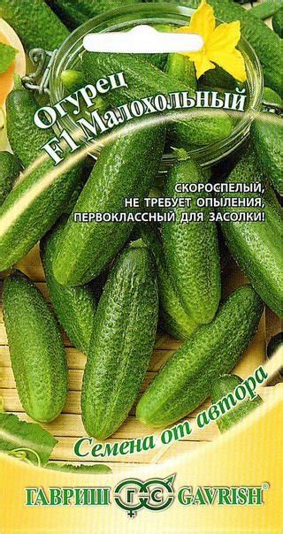 Огурец Малохольный: описание и характеристики сорта, правила посадки и ...