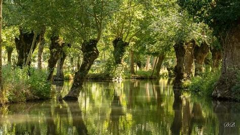 Le meilleur embarcadère pour découvrir tranquillement le marais