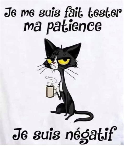 Humour La Patience Du Chat Dessin Humour Image Humour Dessin