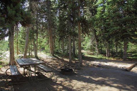 Lewis Lake Campground Map Pictures And Video Yellowstone National Park