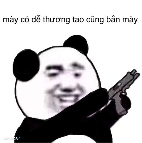 tuyen tap  hinh gau truc meme cuc hai ba dao va hom hinh yody