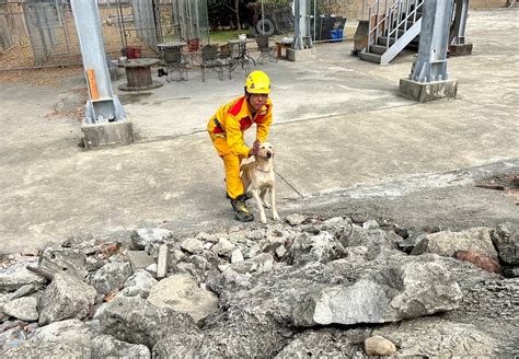 竹市搜救犬特搜能量再進階 4隻全數通過iro國際檢測評量認證