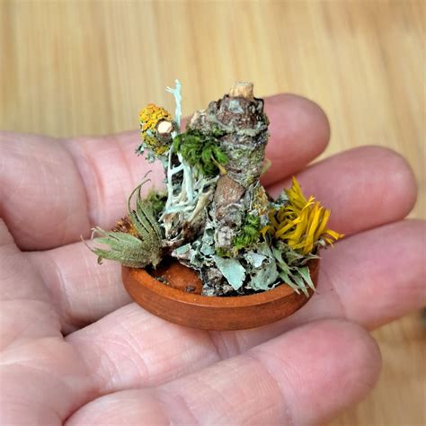 Miniature Forest Dioramas Set Of 2 Fairy Garden Decor Miniature