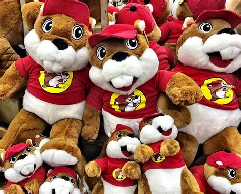 Buc Ees Stuffed Animal