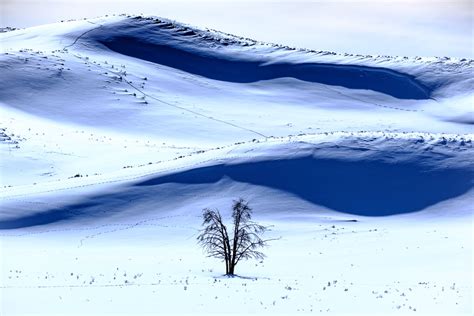 Yellowstone - Lodge Photo